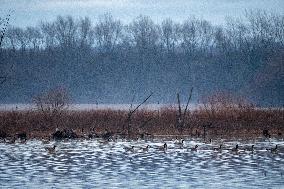 Wildlife At The Oxbow Nature Conservancy