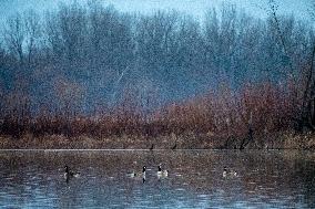 Wildlife At The Oxbow Nature Conservancy