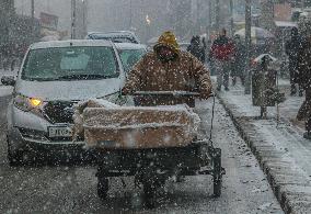 Snowfall In Srinagar