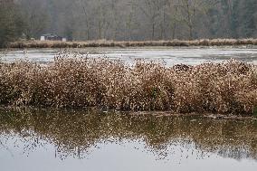 Halser Ilzschleifen Nature Reserve In Passau