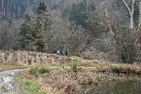 Halser Ilzschleifen Nature Reserve In Passau