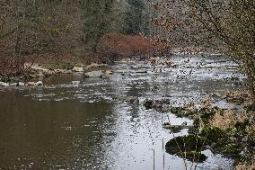 Halser Ilzschleifen Nature Reserve In Passau