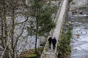 Halser Ilzschleifen Nature Reserve In Passau