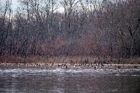 Wildlife At The Oxbow Nature Conservancy