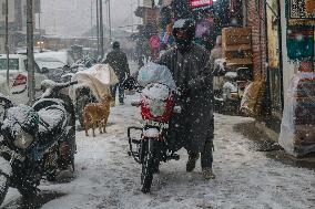 Snowfall In Srinagar