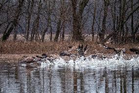 Wildlife At The Oxbow Nature Conservancy