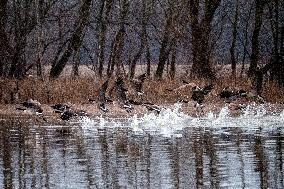 Wildlife At The Oxbow Nature Conservancy