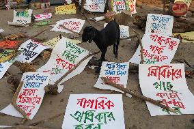 Protest In Dhaka.