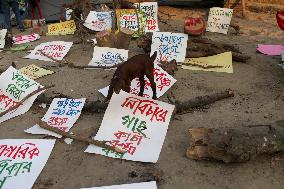 Protest In Dhaka.