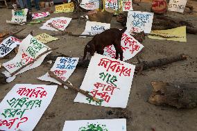 Protest In Dhaka.