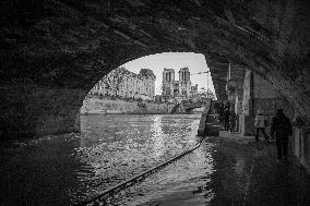 PARIS - Notre Dame De Paris Open To The Public