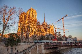 PARIS - Notre Dame De Paris Open To The Public