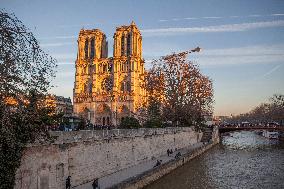 PARIS - Notre Dame De Paris Open To The Public