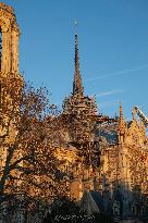 PARIS - Notre Dame De Paris Open To The Public