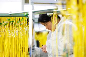 China Photoelectric Cables Manufacturing Industry