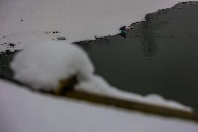 Snowfall In Kashmir