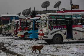 Snowfall In Kashmir