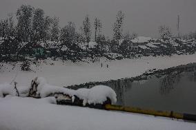 Snowfall In Kashmir