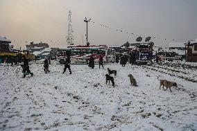 Snowfall In Kashmir