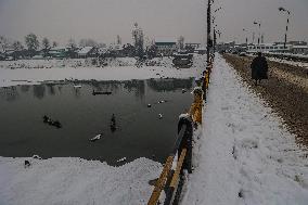 Snowfall In Kashmir