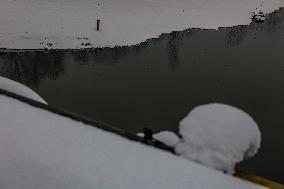 Snowfall In Kashmir