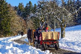 Winter Horse-Drawn Carriage Ride In Steibis, Bavaria