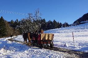 Winter Horse-Drawn Carriage Ride In Steibis, Bavaria