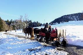 Winter Horse-Drawn Carriage Ride In Steibis, Bavaria