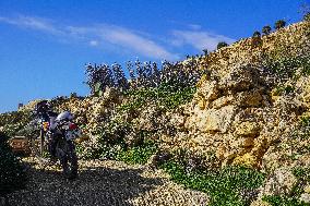 Gozo Island Daily Life, Malta