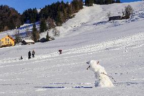 Sledging Fun In Bavaria