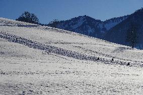 Sledging Fun In Bavaria