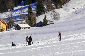 Sledging Fun In Bavaria