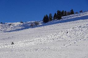 Sledging Fun In Bavaria