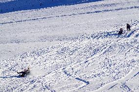 Sledging Fun In Bavaria