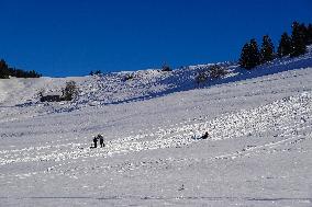 Sledging Fun In Bavaria