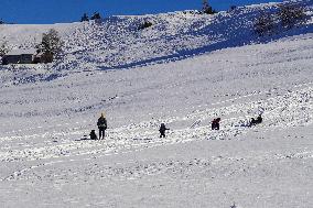 Sledging Fun In Bavaria