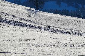 Sledging Fun In Bavaria