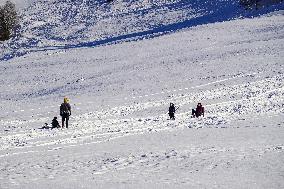 Sledging Fun In Bavaria