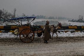 Heavy Snowfall In Kashmir