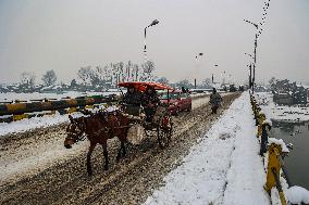 Heavy Snowfall In Kashmir