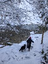 Winter Hiking In Bavaria Around Oberstaufen