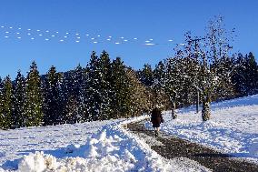 Winter Hiking In Bavaria Around Oberstaufen