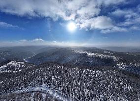 Winter Scenery - China