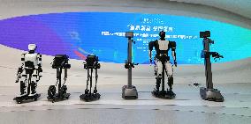 Home Made Humanoid Robots - China