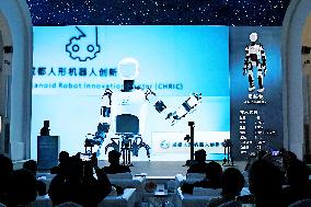 Home Made Humanoid Robots - China