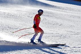 SPORT INVERNALI - Sci Alpino - AUDI FIS Ski World Cup - Downhill - Men