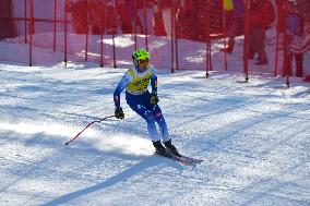 SPORT INVERNALI - Sci Alpino - AUDI FIS Ski World Cup - Downhill - Men