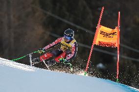 SPORT INVERNALI - Sci Alpino - AUDI FIS Ski World Cup - Downhill - Men