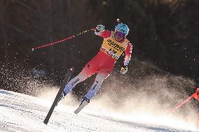 SPORT INVERNALI - Sci Alpino - AUDI FIS Ski World Cup - Downhill - Men