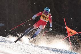 SPORT INVERNALI - Sci Alpino - AUDI FIS Ski World Cup - Downhill - Men